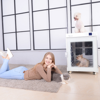220V 2700W를 말리는 지적 PET은 화면 제어 좋아 모발 드라이어 기계를 아프게 합니다
