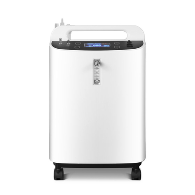 220V O2 집선장치 기계, 산소 기계 10l과 함께 기능을 안개처럼 뿌립니다