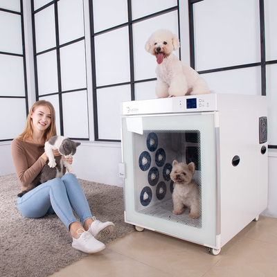 저소음과 조정 가능 속도 Pet 드라이어 방 현명한 조용한 작동