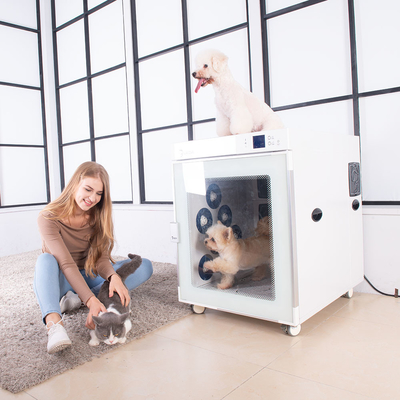 실 지적 주파수 변환 온도 제어를 말리는 자동 PET