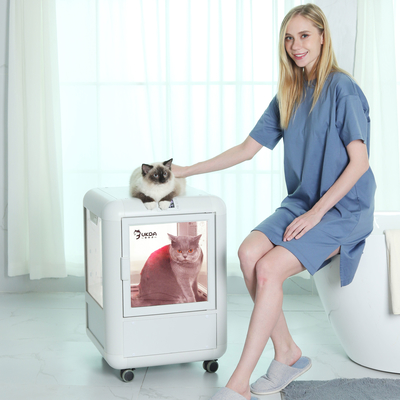 방 PTC 저소음 Pet 그루밍  기계를 말리는 공기욕 PET
