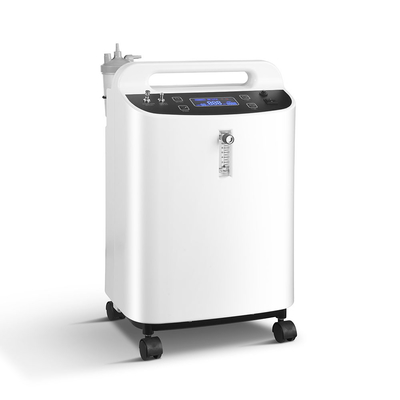 220V O2 집선장치 기계, 산소 기계 10l과 함께 기능을 안개처럼 뿌립니다
