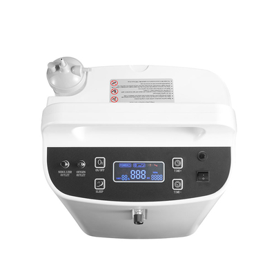 220V O2 집선장치 기계, 산소 기계 10l과 함께 기능을 안개처럼 뿌립니다